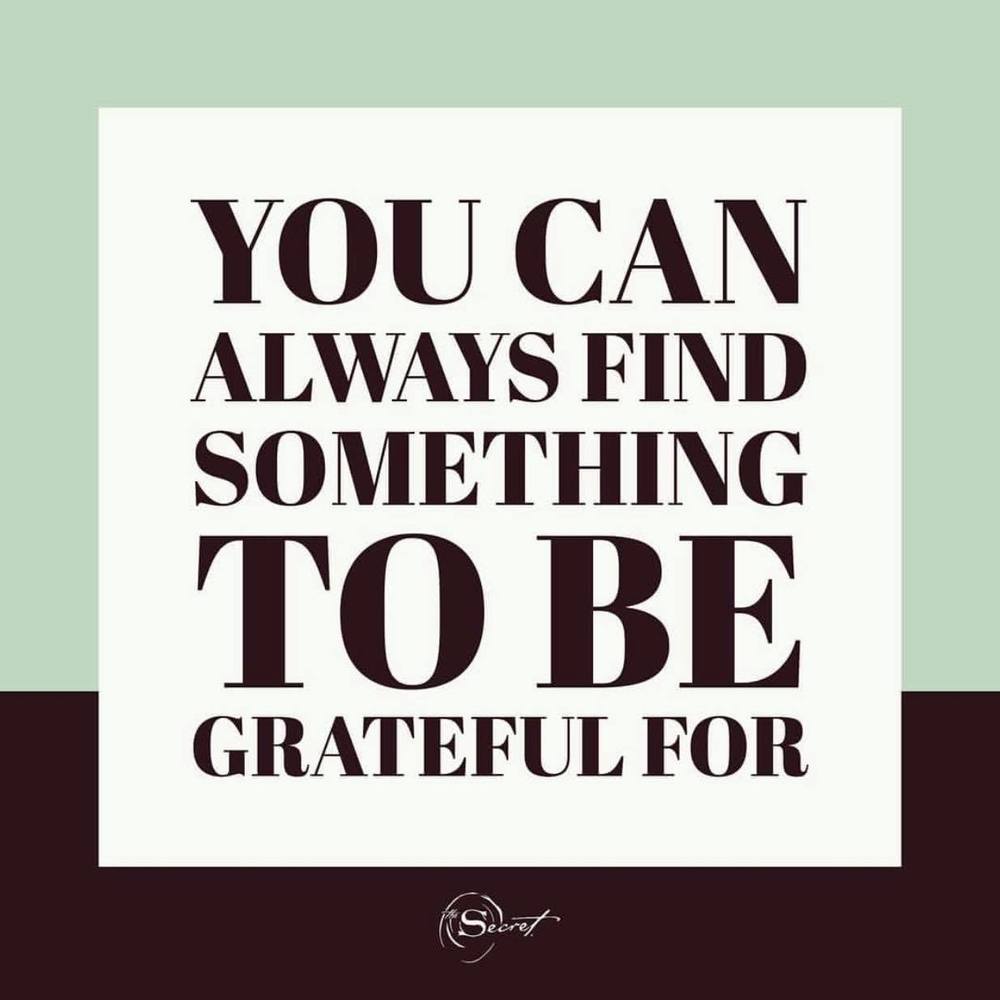 Meet your Posher, Rocky